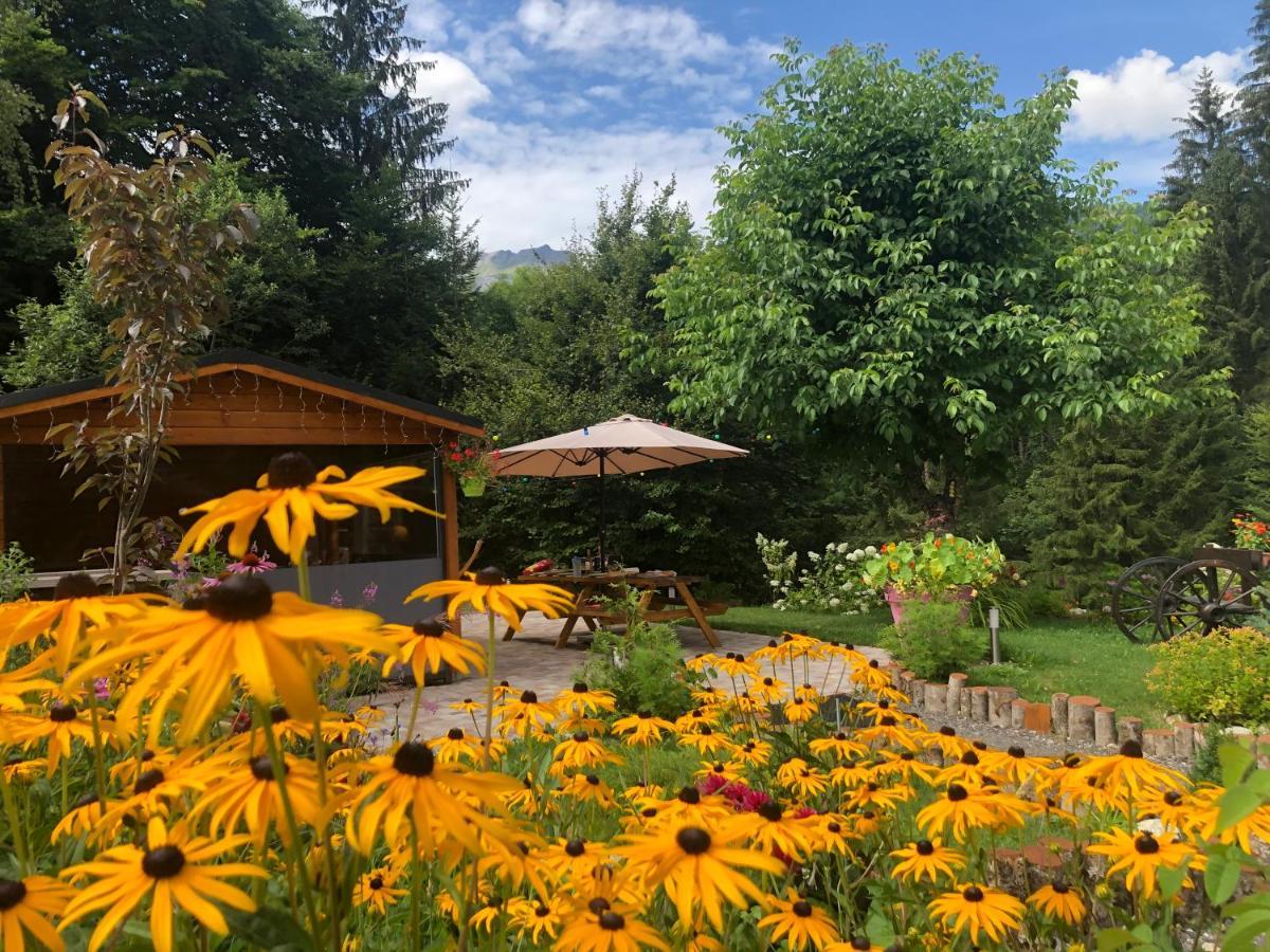 Le Moulin Des Olirics Villa Sallanches Exteriör bild