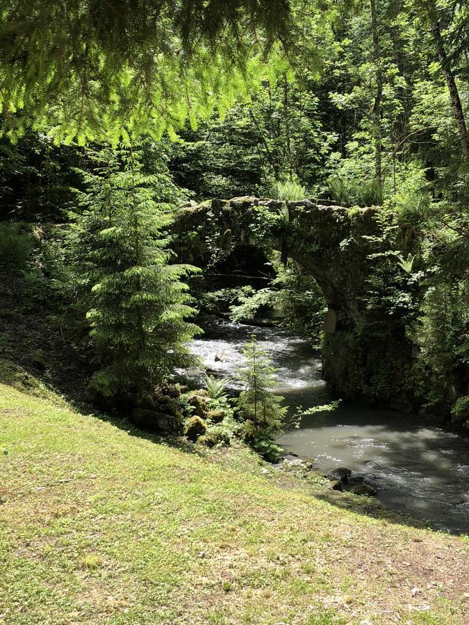 Le Moulin Des Olirics Villa Sallanches Exteriör bild
