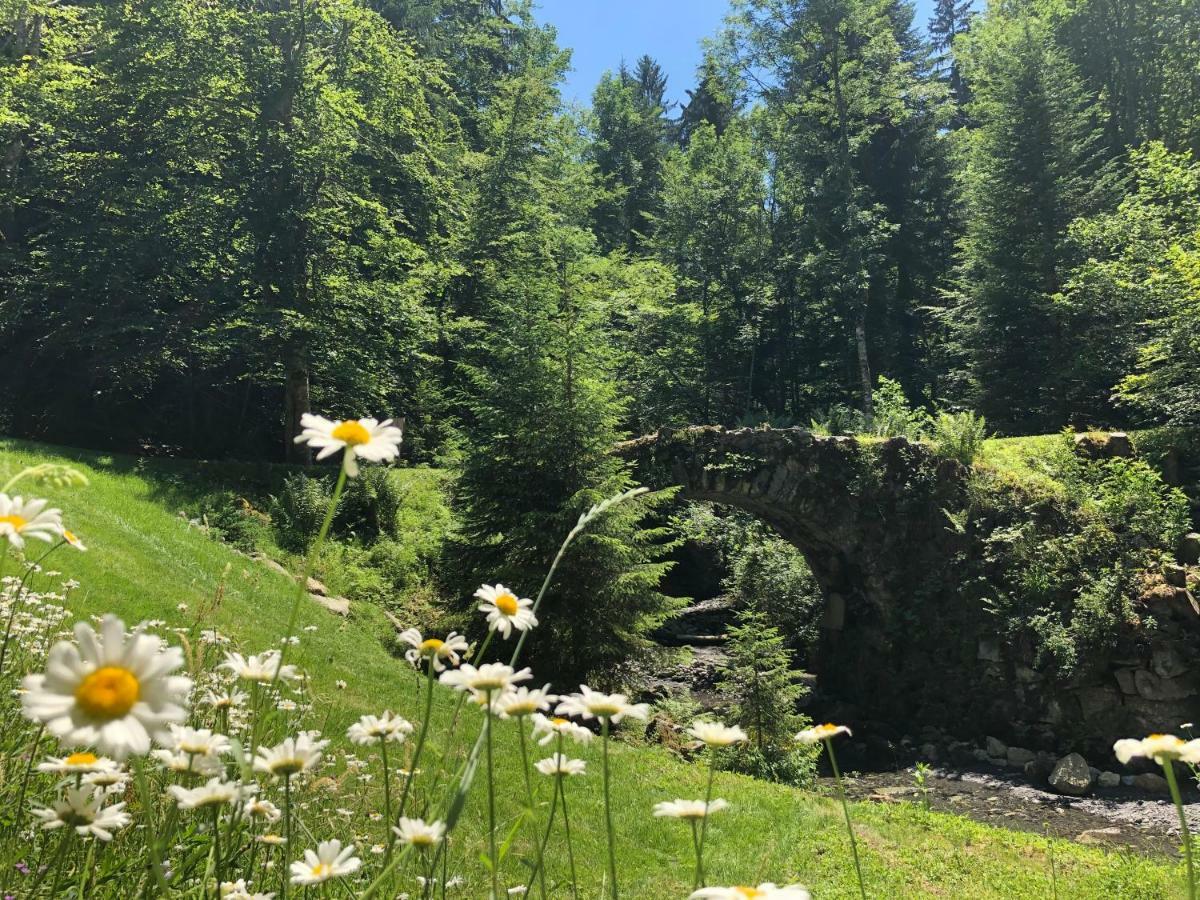 Le Moulin Des Olirics Villa Sallanches Exteriör bild